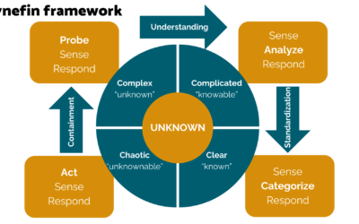 Het Cynefin framework