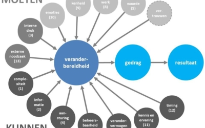 DINAMO-model: sleutel tot succesvolle verandering